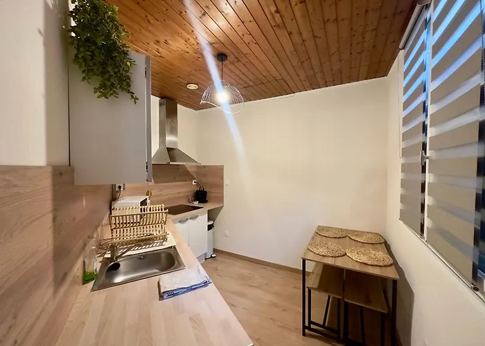 Apartamento Le Nid Dijonnais Dijon